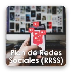 Plan de Redes Sociales (RRSS) Social Media Plan